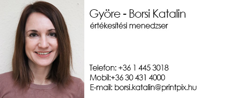 Borsi Katalin értékesítési menedzser